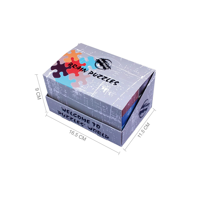 Puzzle Challenger de cognition métallique Rail Glide